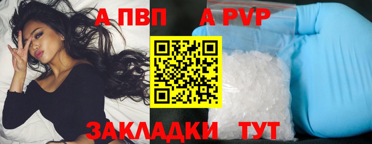 A PVP СК КРИС Котлас